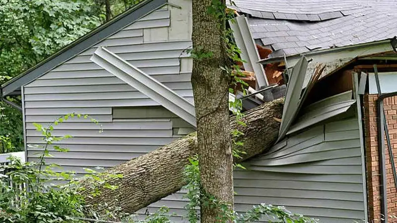 5/5/22- Severe Storms Run Amok In The CSRA