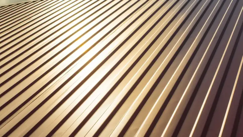 Metal Roofs: Are They Worth the Initial Investment?