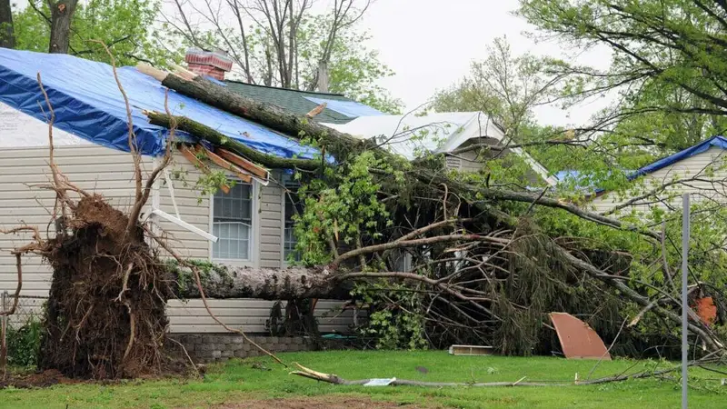 What to Do if a Storm Damages Your Roof in Newnan