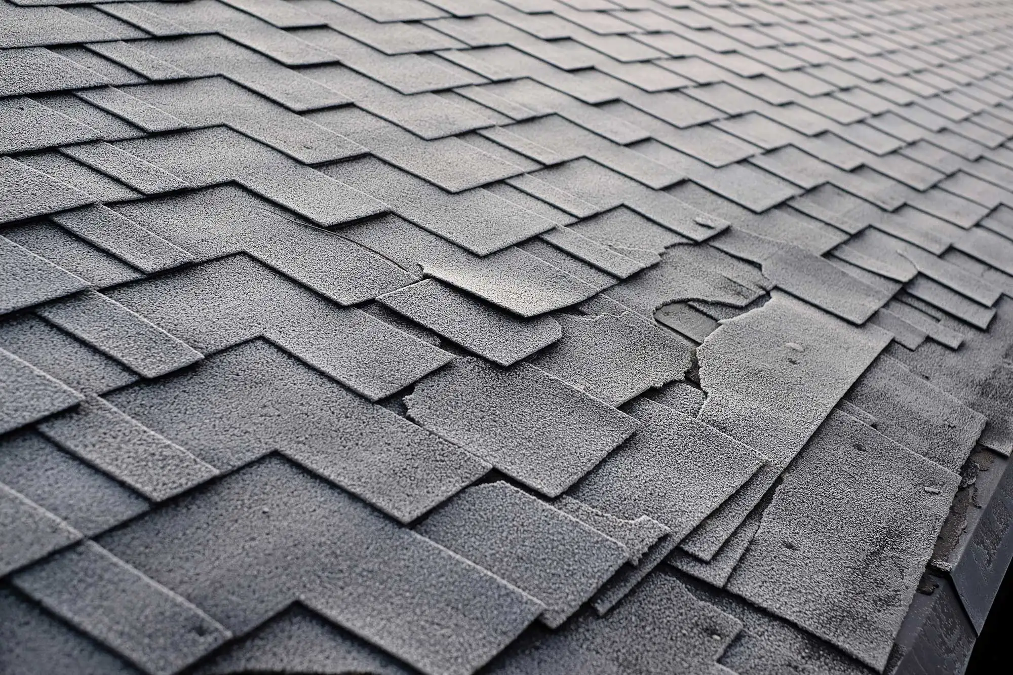 local roofing company in Newnan