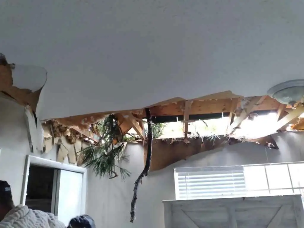 May 2022 Severe Storms Run Amok In The CSRA