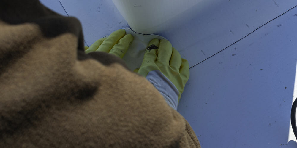 The Experienced TPO Roofing Specialists Newnan, GA