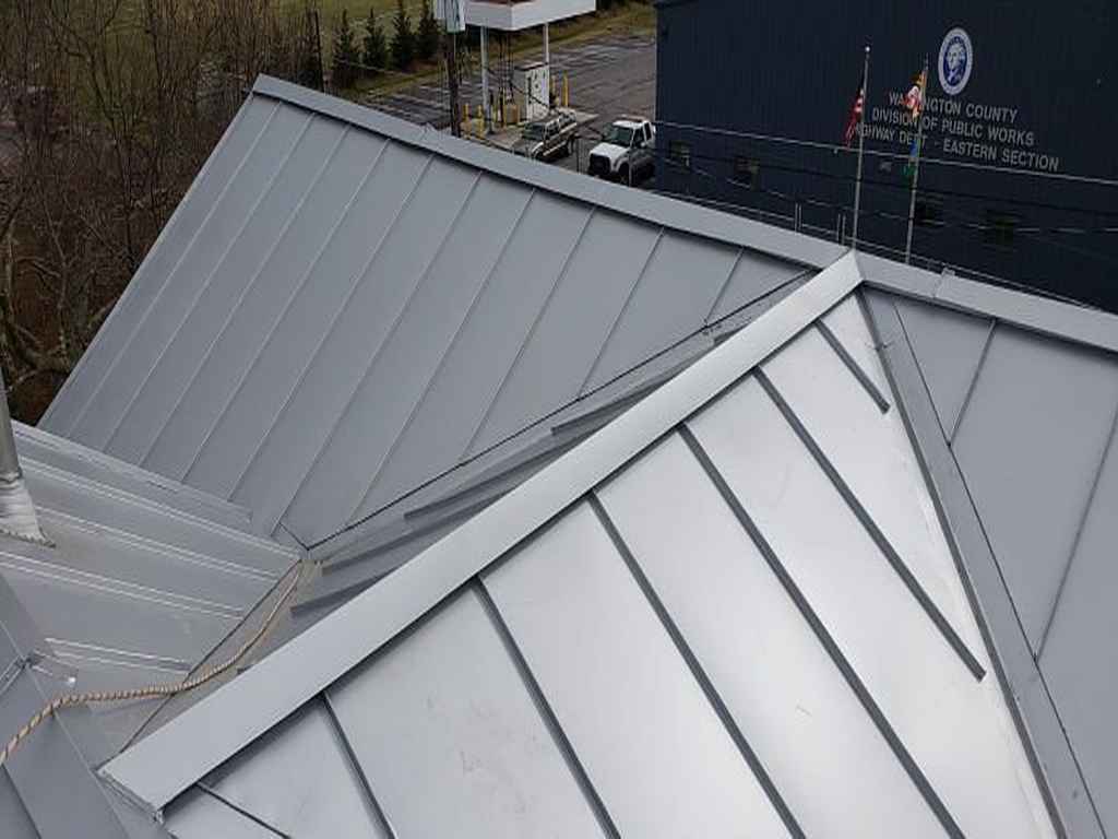 Expert metal roofing services in Newnan